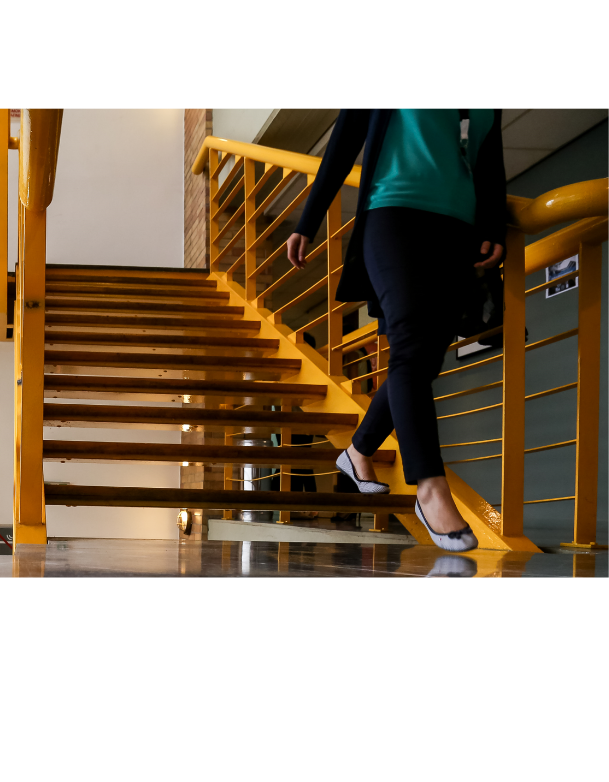 Support Services for Alba Students & Alumni