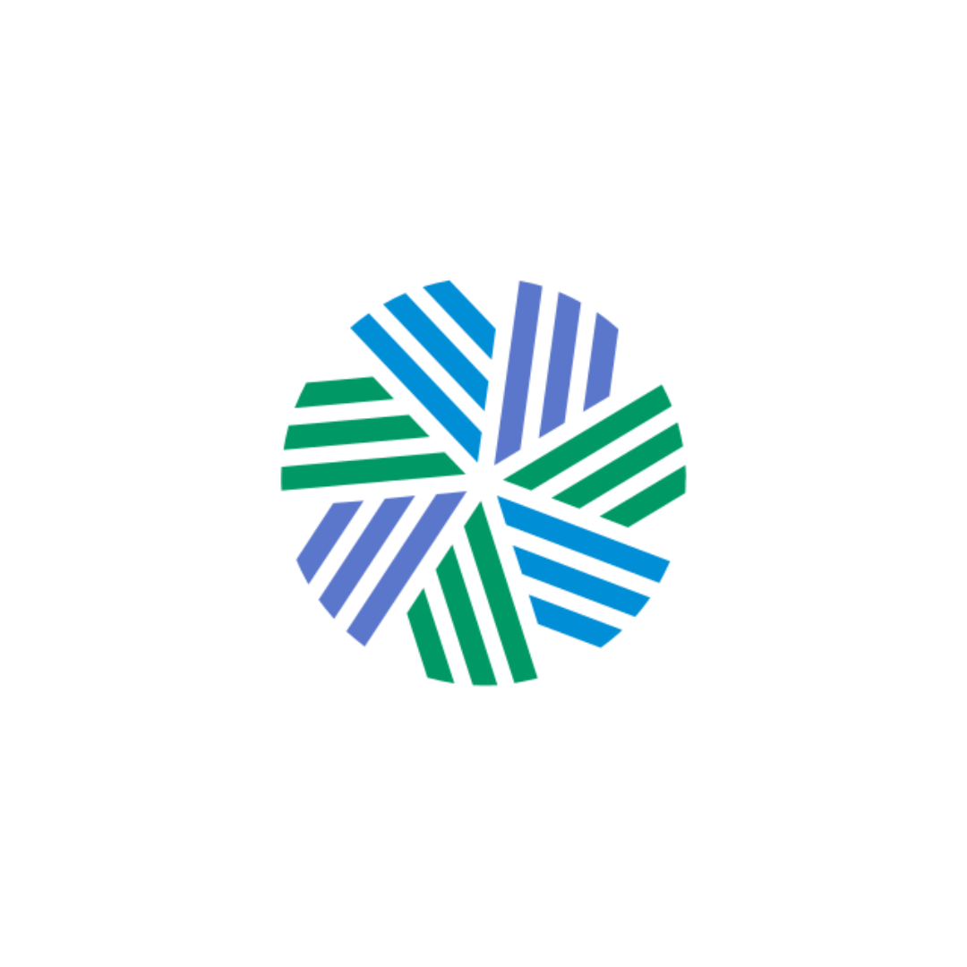 The CFA Institute